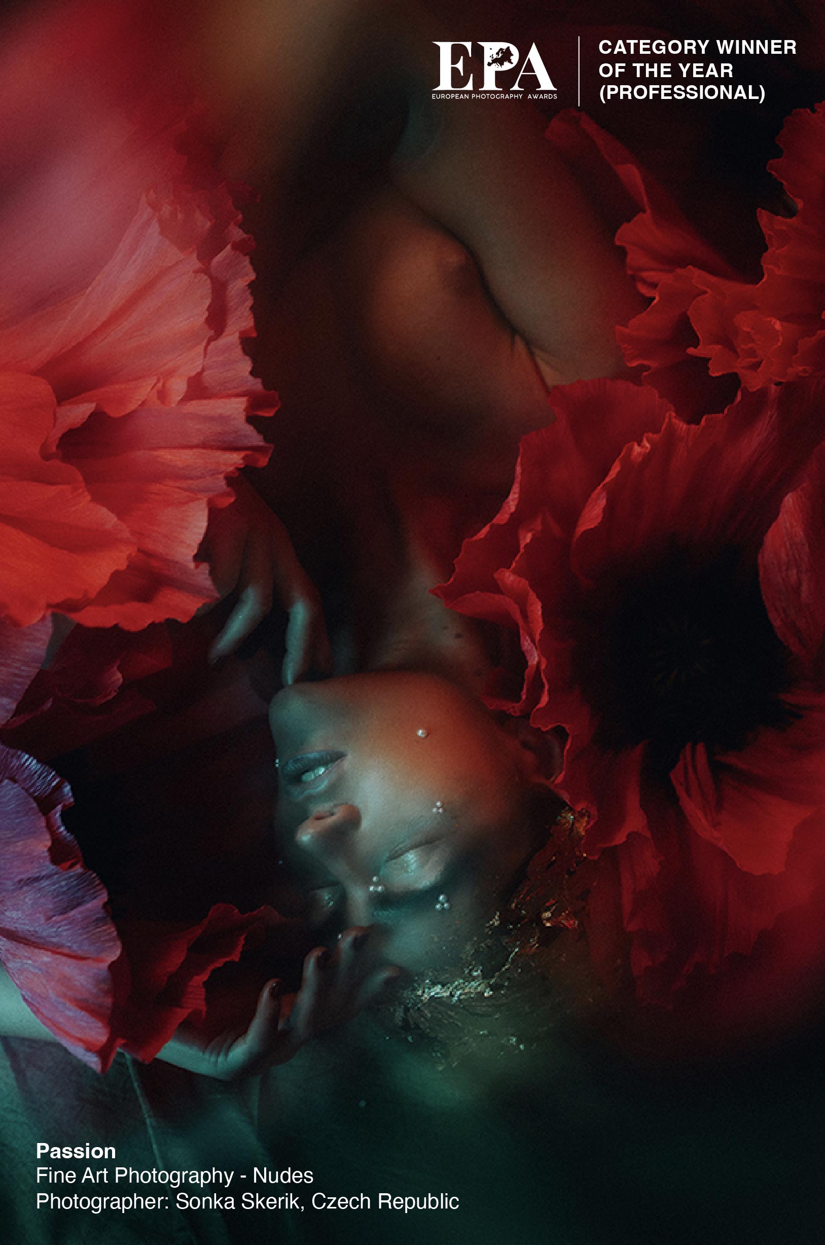 Category Winner of the Year (Fine Art Photography)