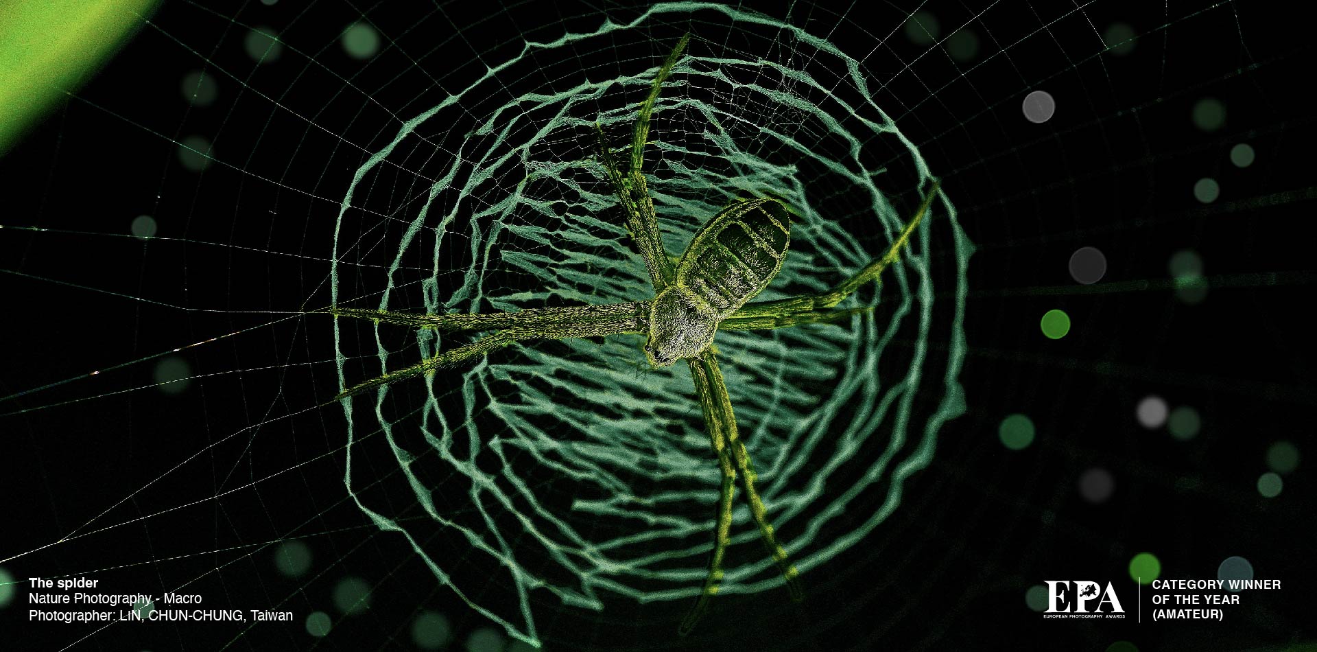 Category Winner of the Year (Nature Photography)