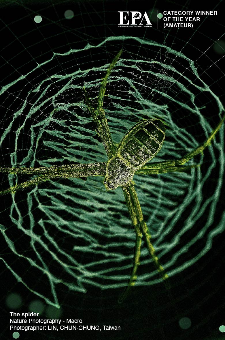 Category Winner of the Year (Nature Photography)