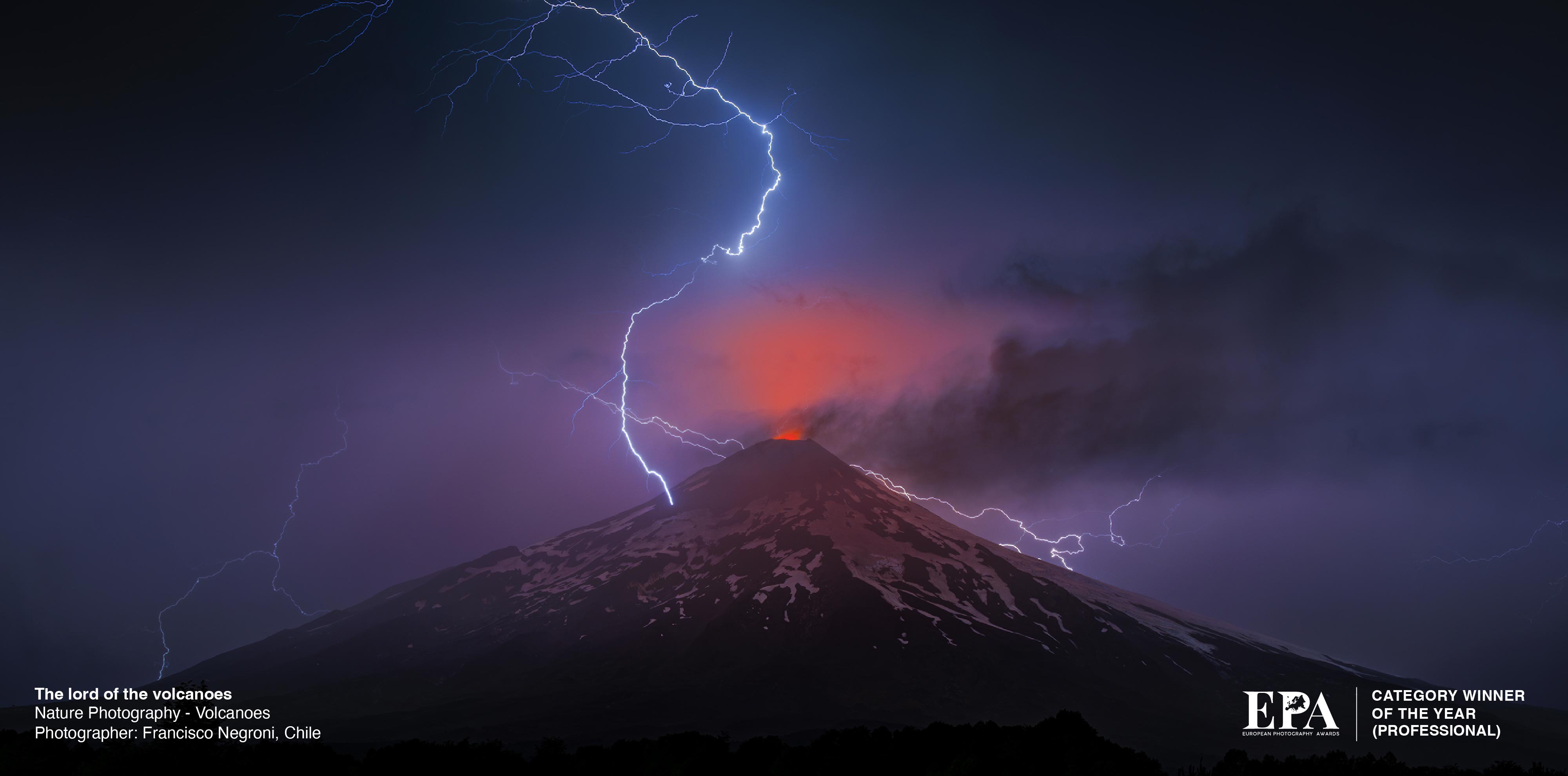 Category Winner of the Year (Nature Photography)