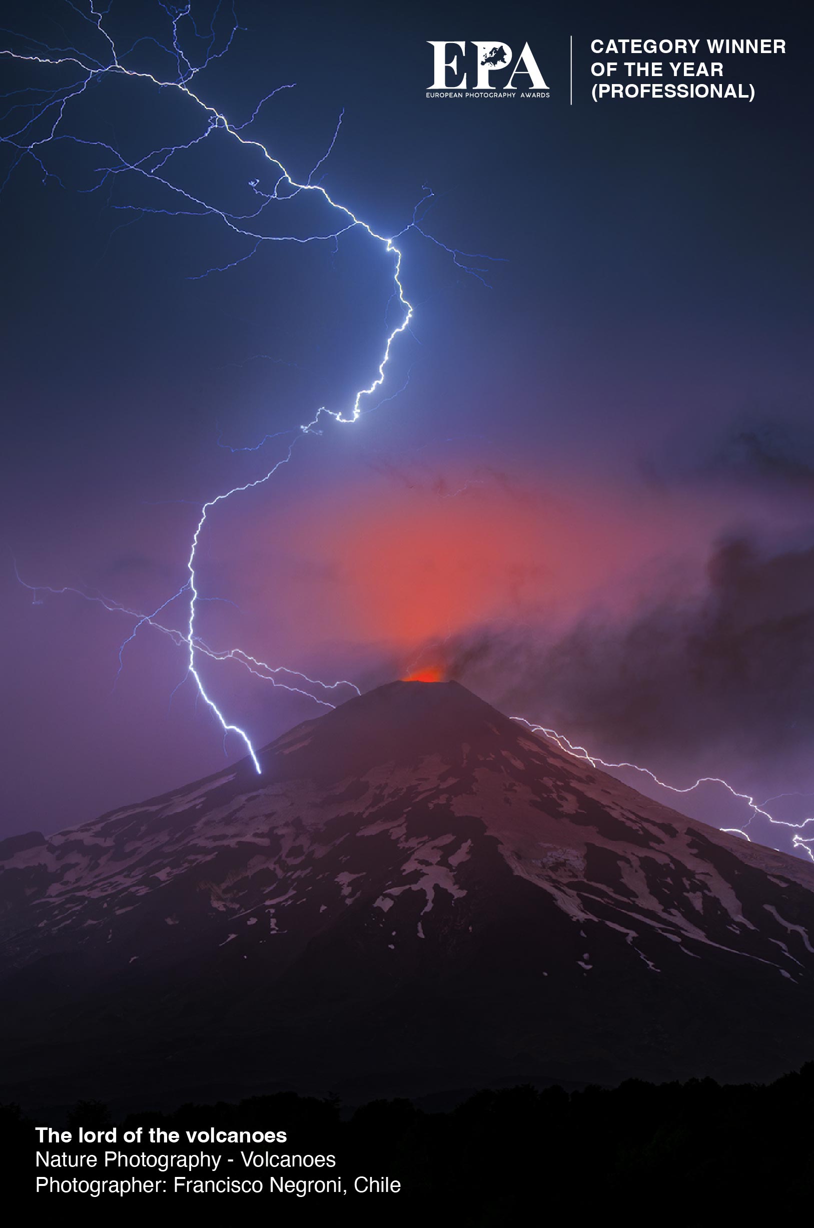 Category Winner of the Year (Nature Photography)