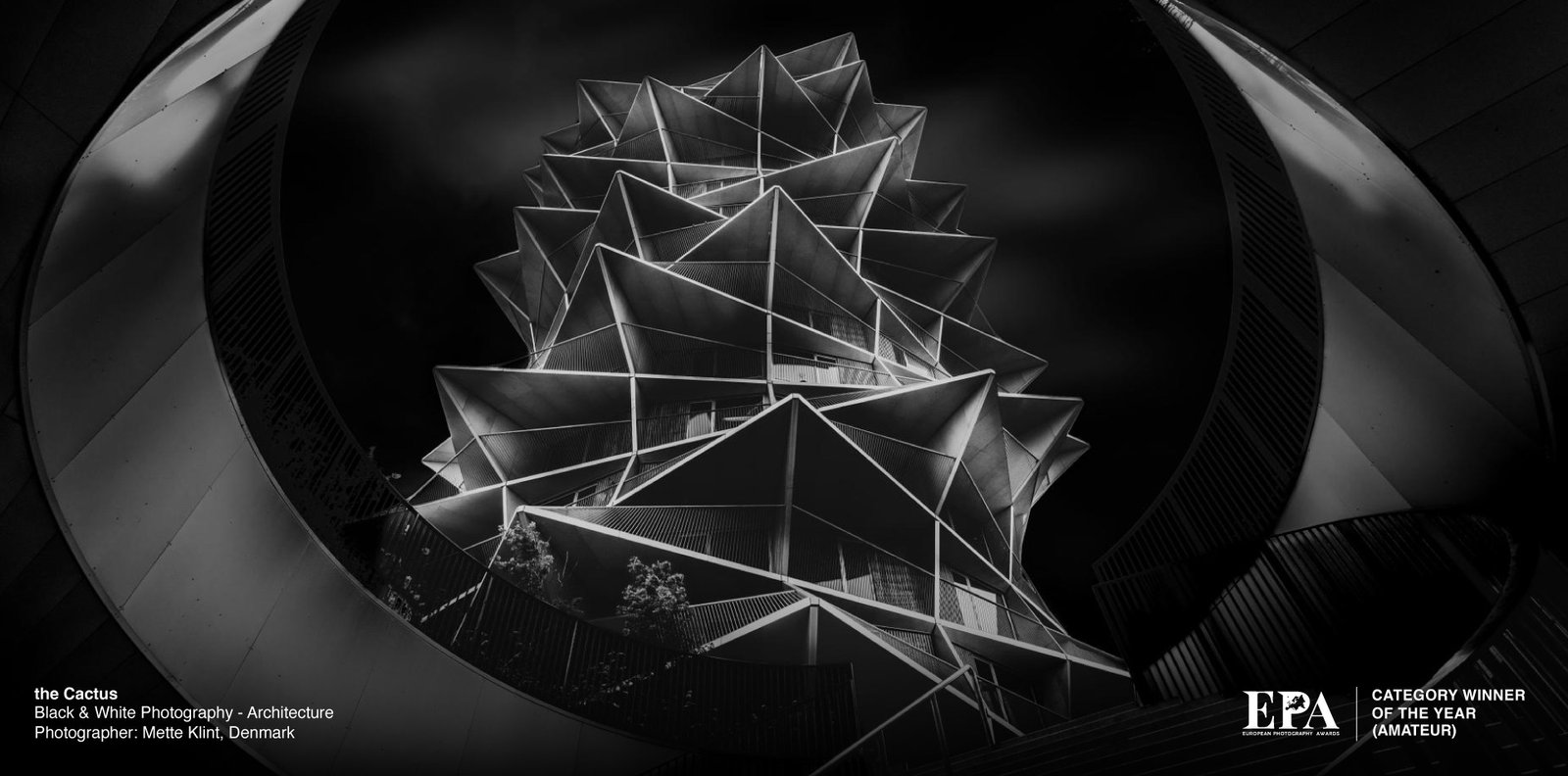 European Black and White Photography of the Year