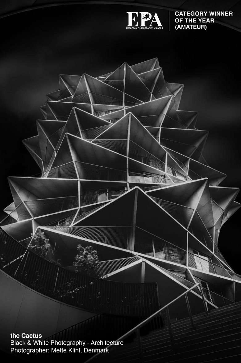 European Black and White Photography of the Year