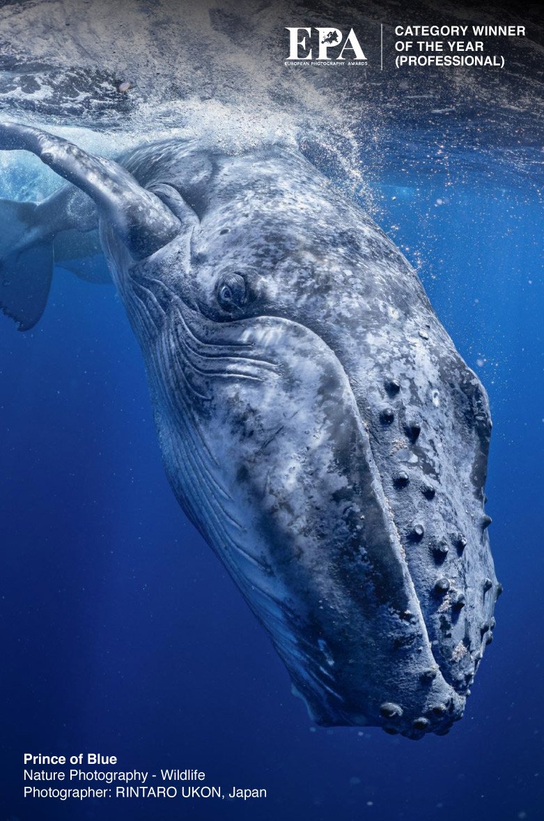 European Nature Photography of the Year