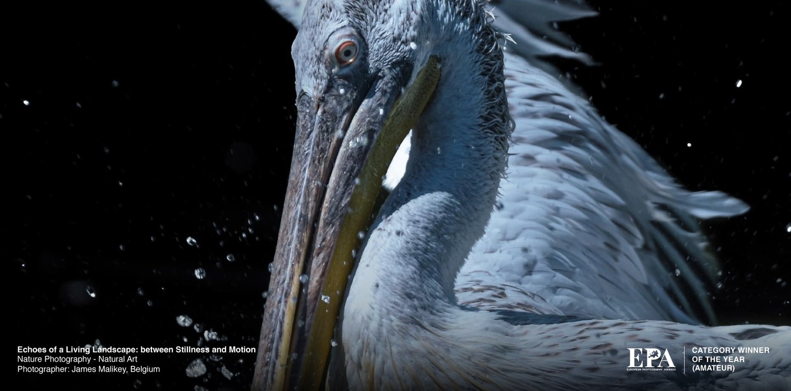 European Nature Photography of the Year