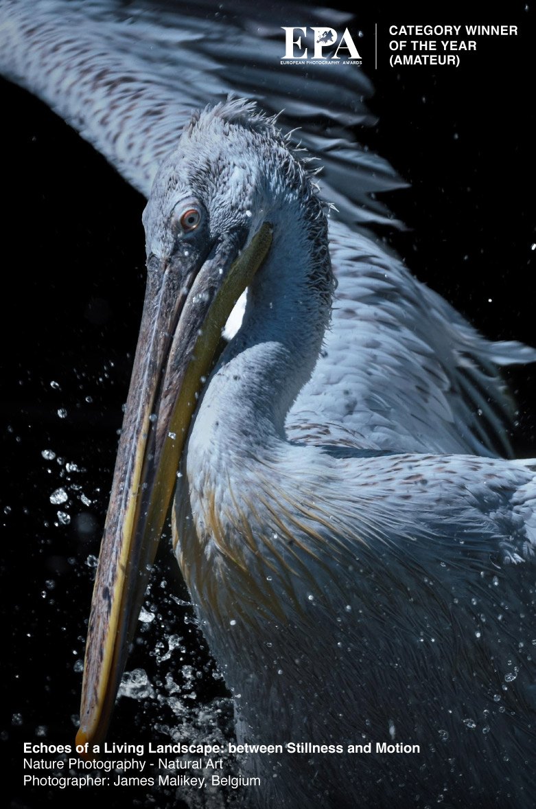 European Nature Photography of the Year