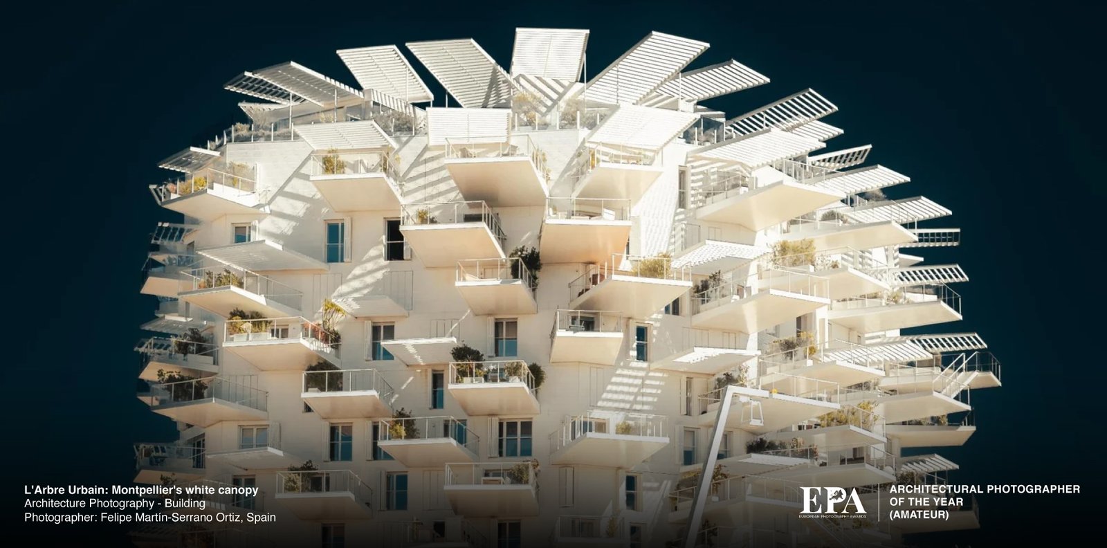2026 Architecture Photography of the Year