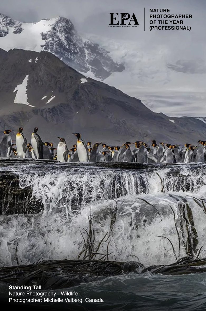 Nature Photography of the Year 2026
