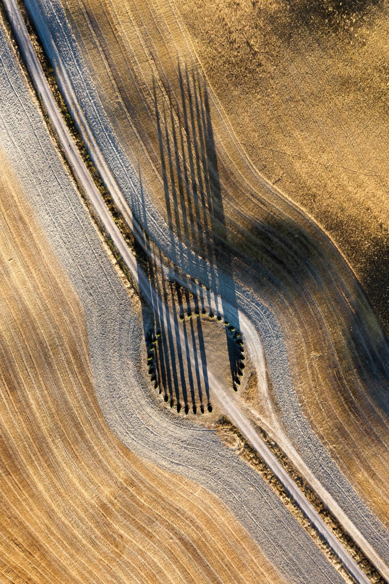 European Photography Awards Winner - Val d'Orcia II