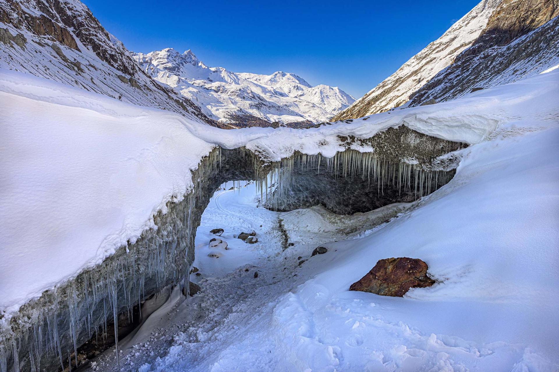 European Photography Awards Winner - THE LAST WINTER