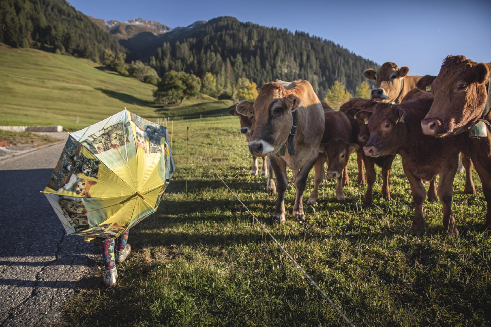 European Photography Awards Winner - Natural curiosity