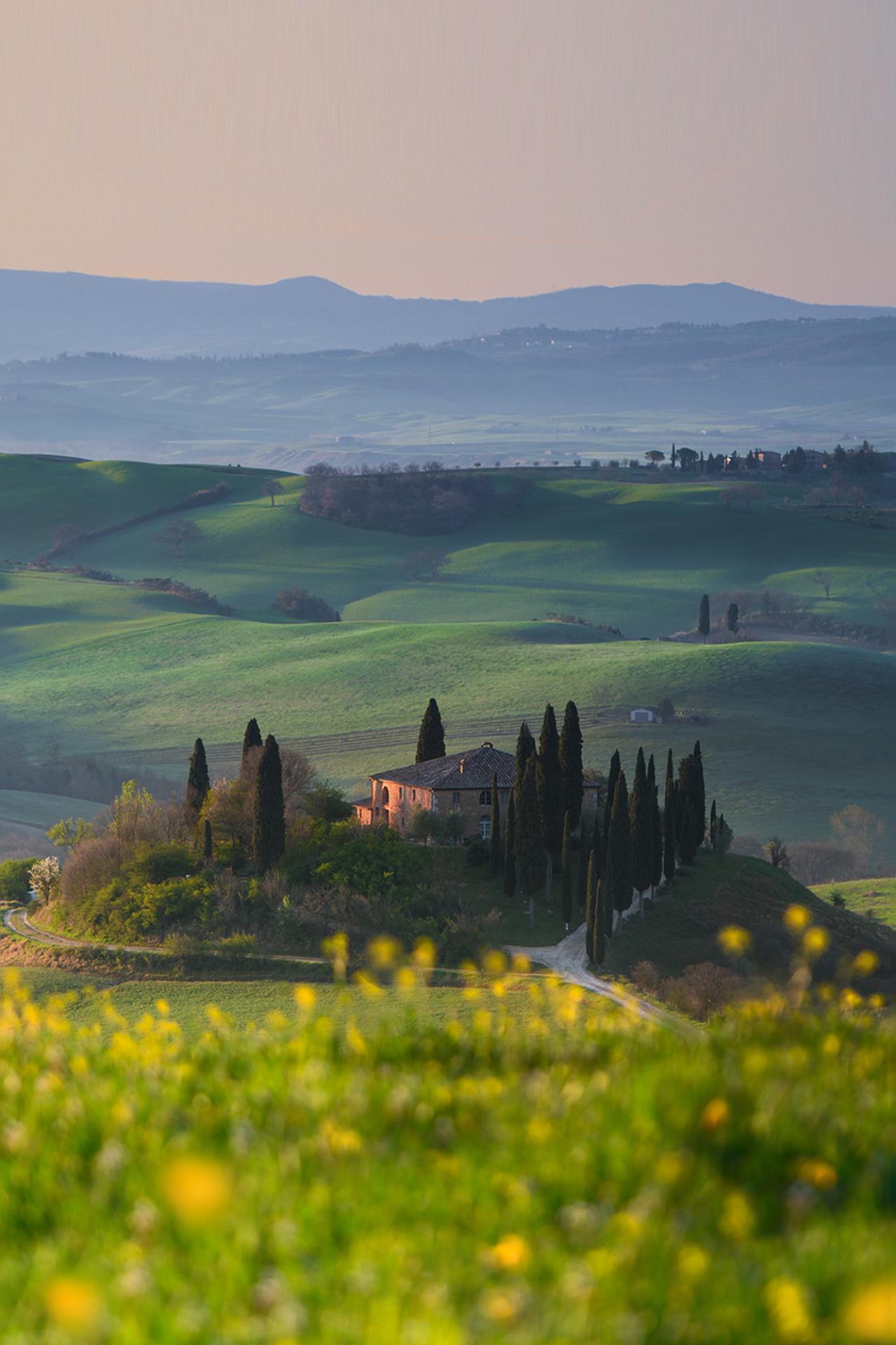 European Photography Awards Winner - Spring Blooms in Tuscany