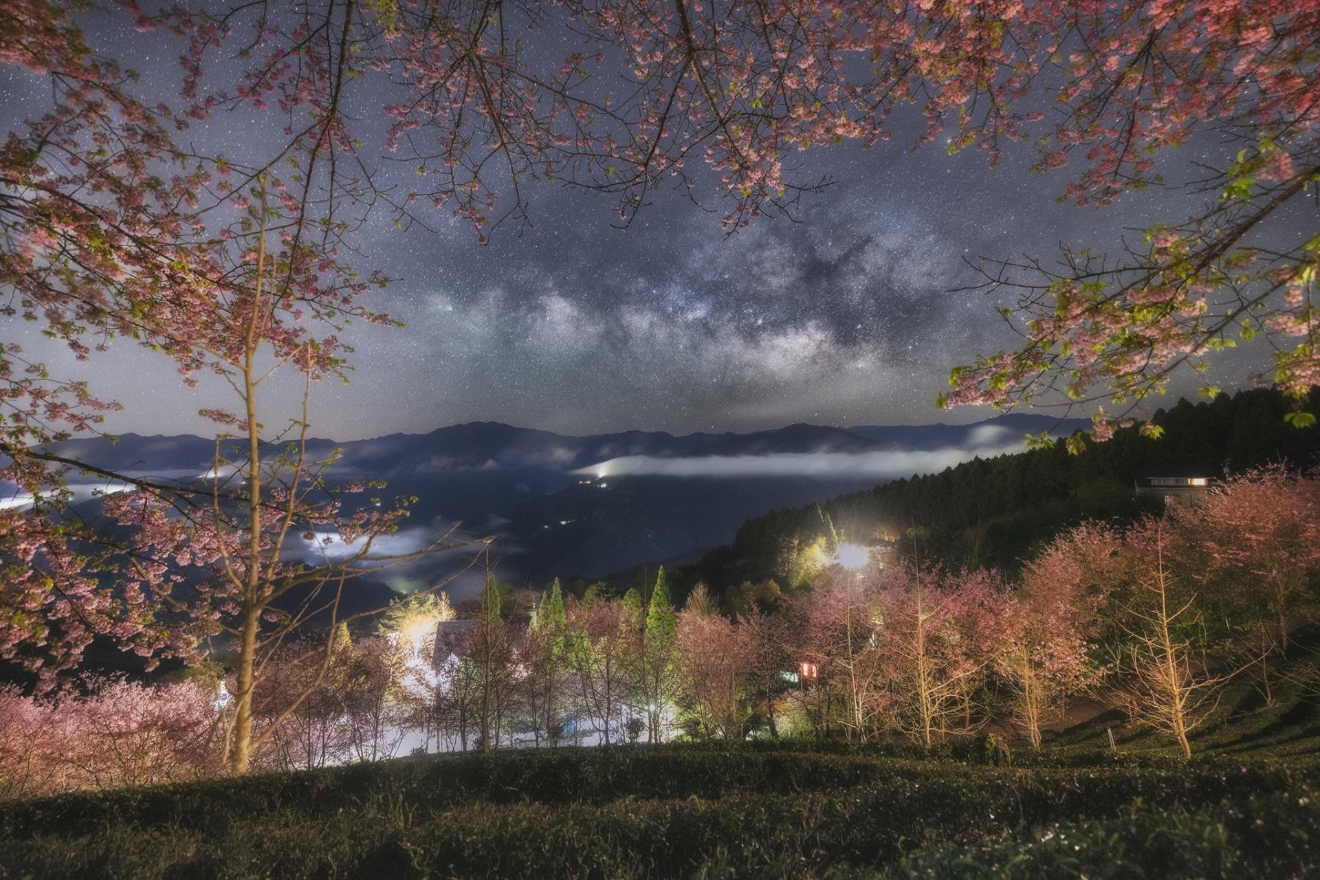 European Photography Awards Winner - Cherry blossoms under the stars