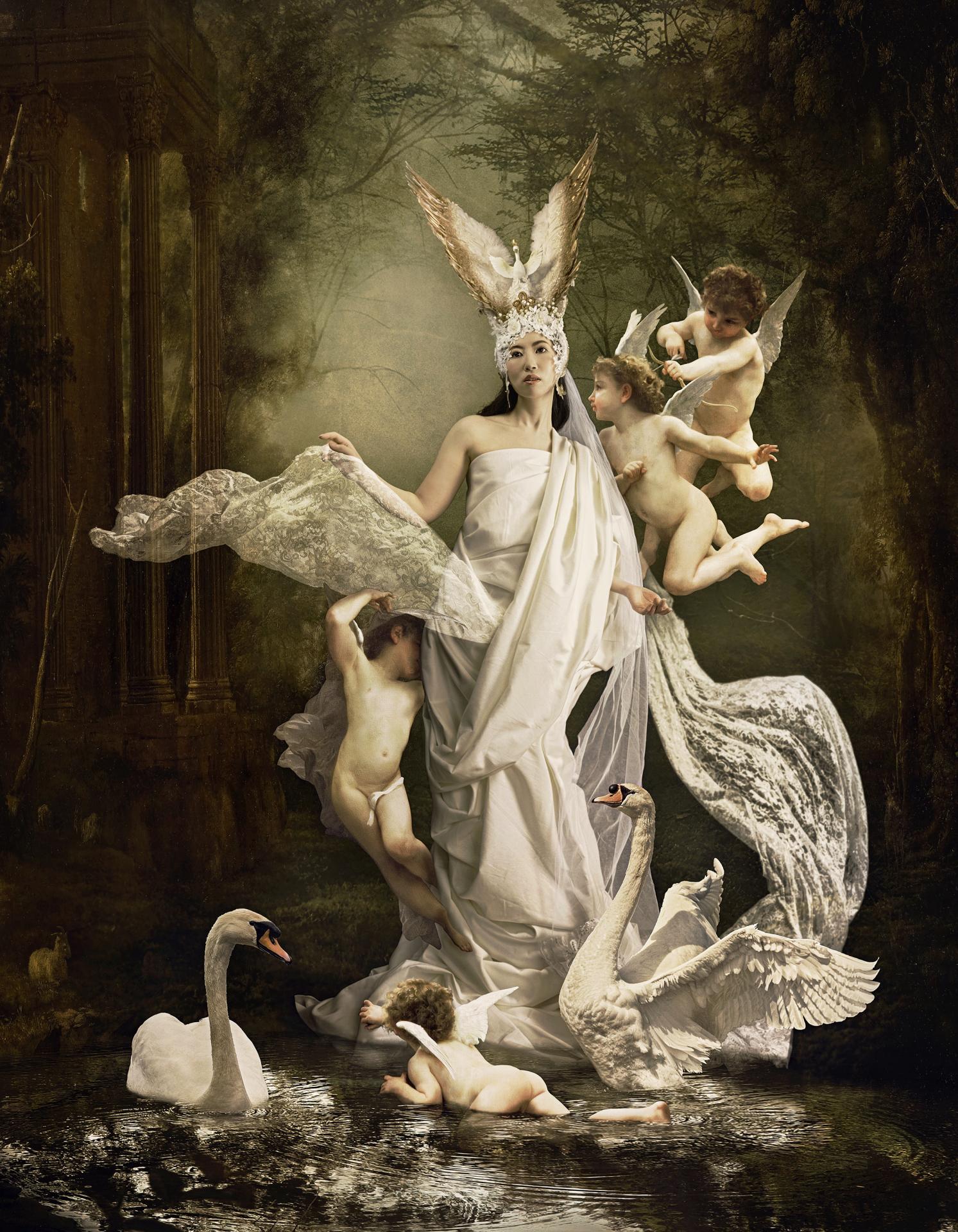 European Photography Awards Winner - Swan Lake