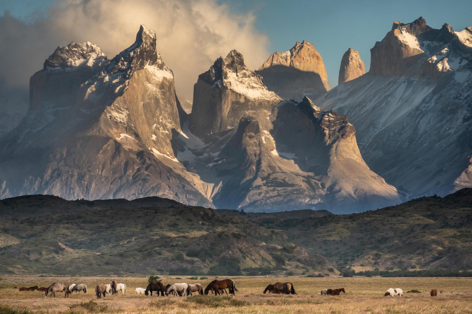 European Photography Awards Winner - Horses in Heaven