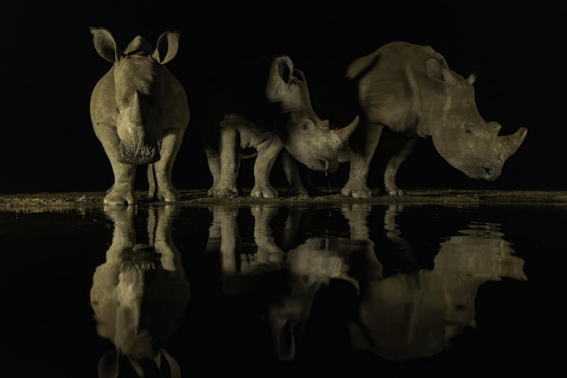 European Photography Awards Winner - Wild night