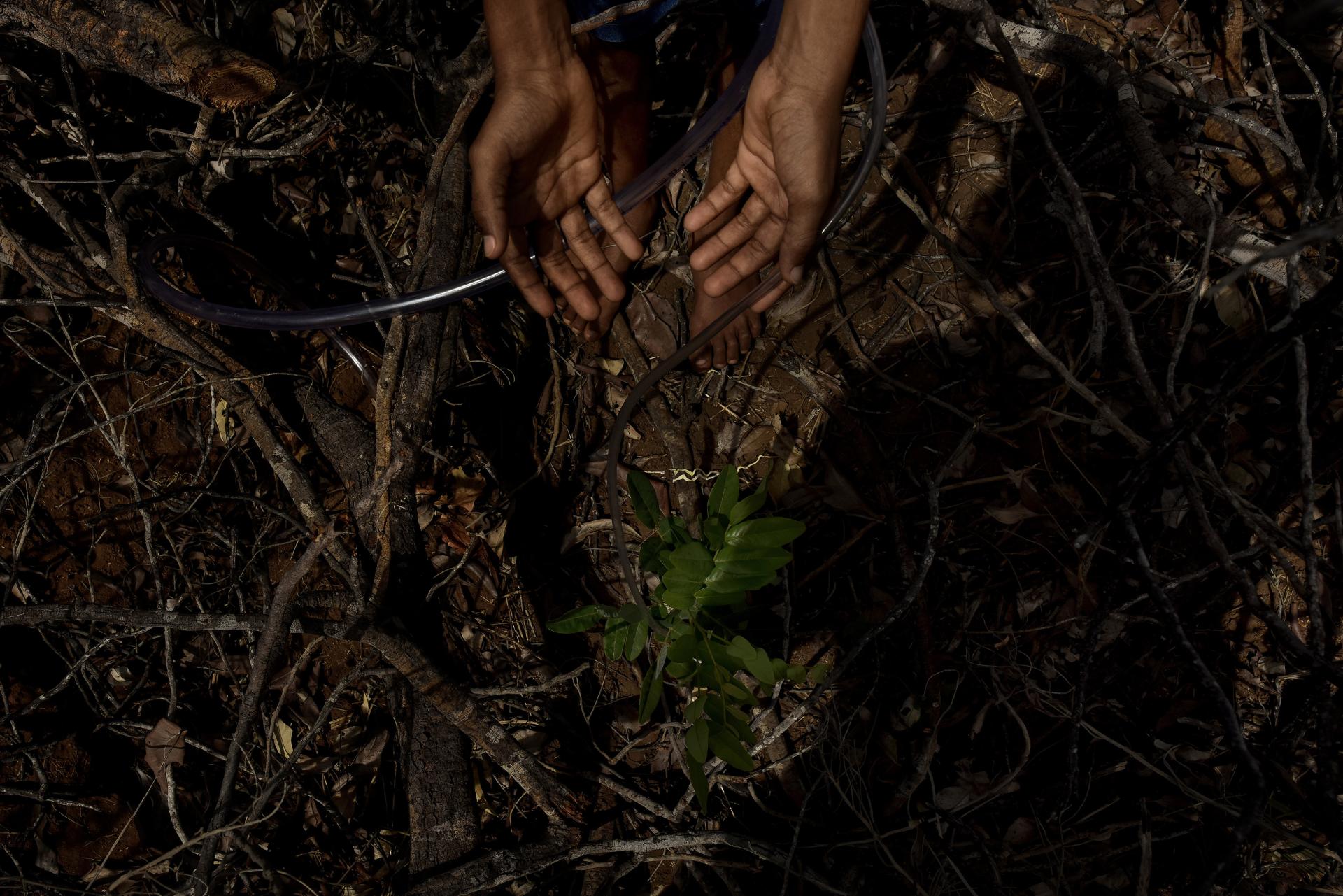 European Photography Awards Winner - Anthropogenic