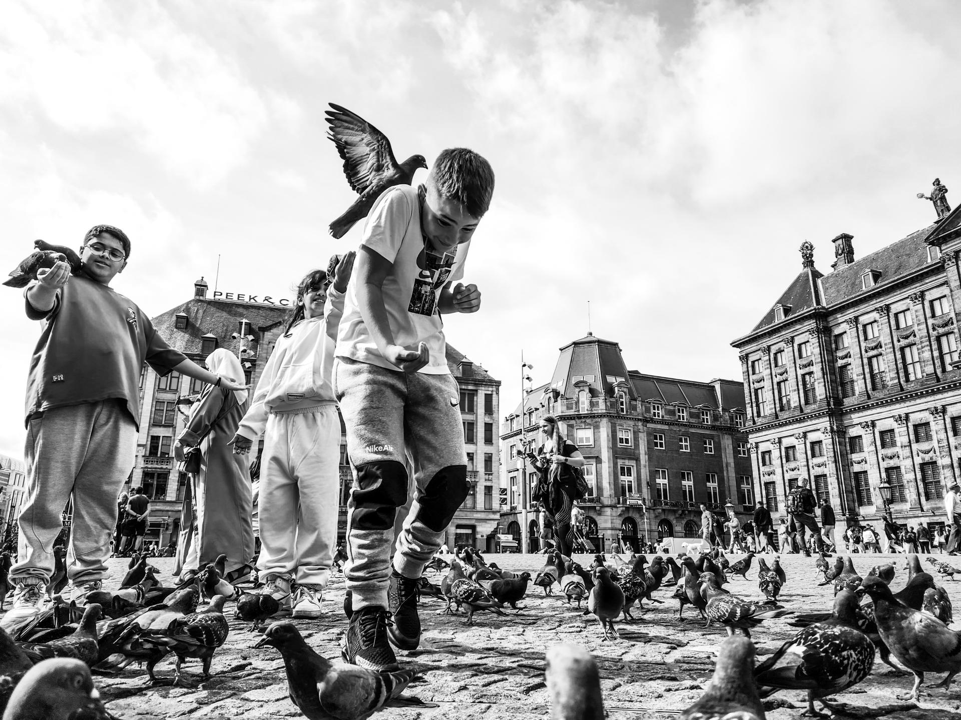 European Photography Awards Winner - Top of the Food Chain