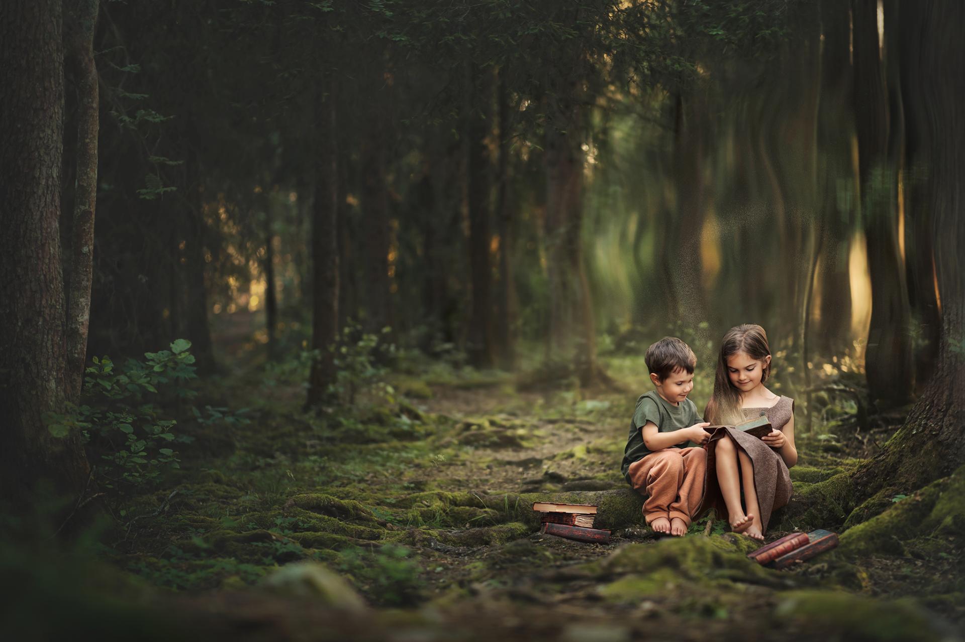 European Photography Awards Winner - a fairytale forest