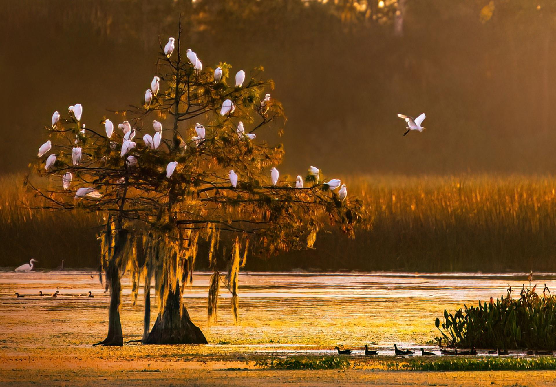 European Photography Awards Winner - This Land is Your Land