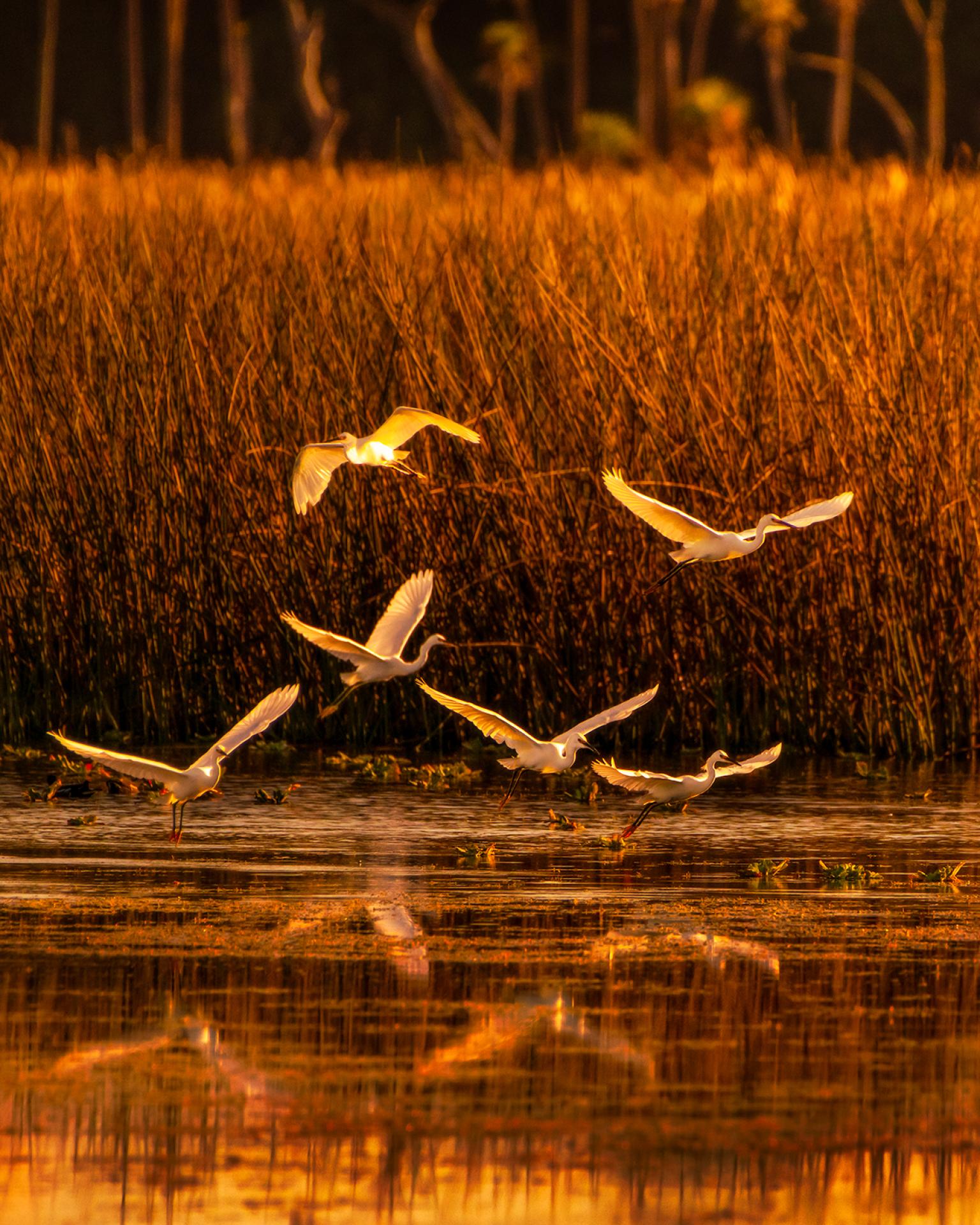 European Photography Awards Winner - Enjoy the Sunshine