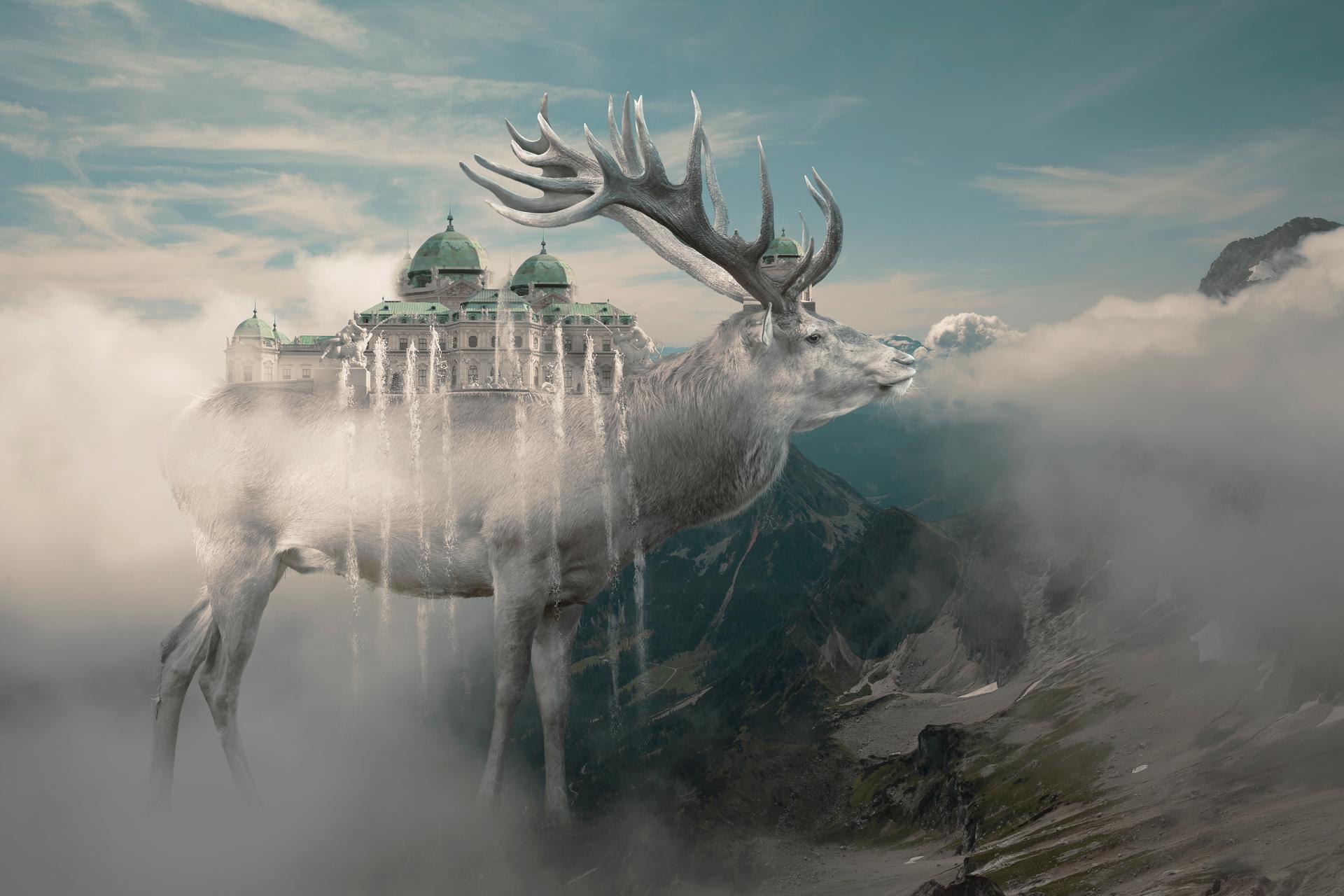 European Photography Awards Winner - A Kingdom Amongst The Clouds