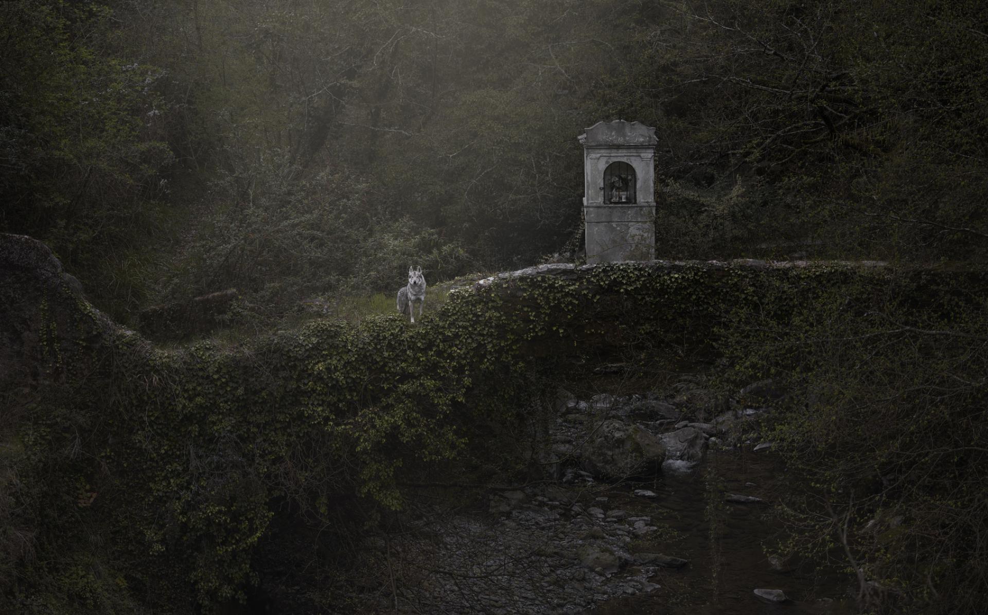 European Photography Awards Winner - Like the path of the wayfarer in the Middle Ages