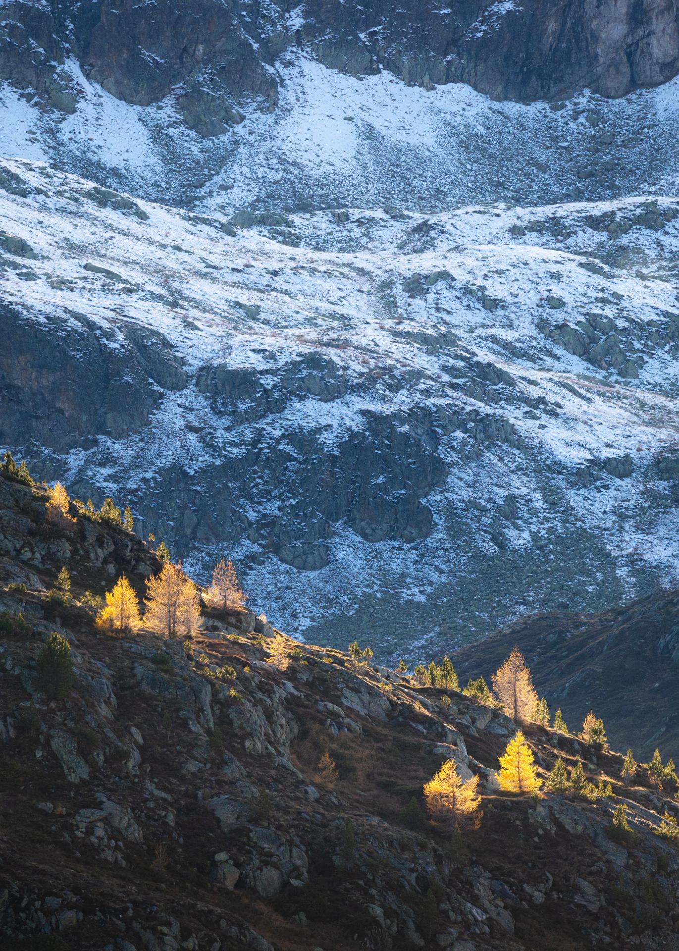 European Photography Awards Winner - Last Display of Autumn