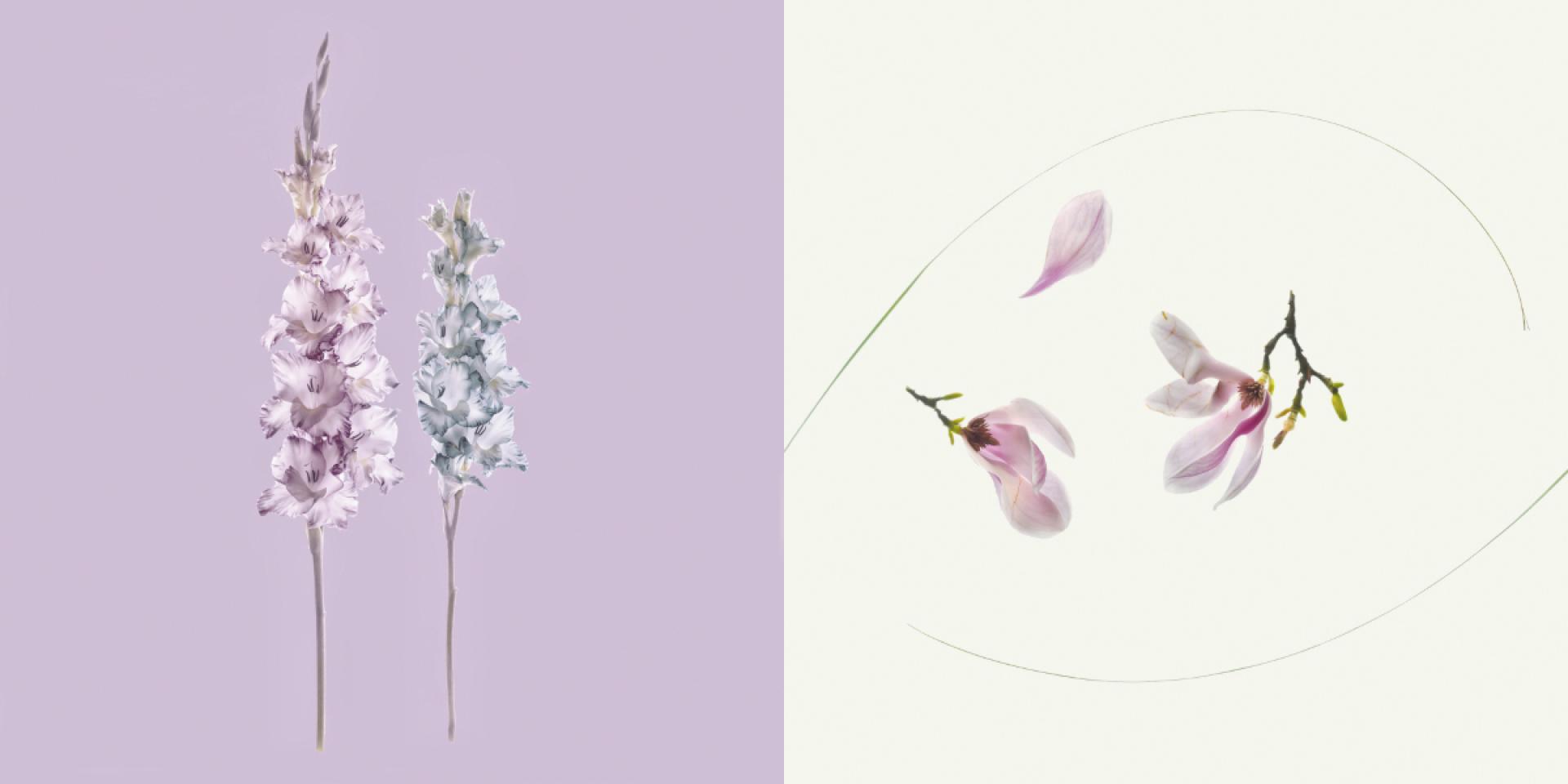 European Photography Awards Winner - Botanic Dialogue