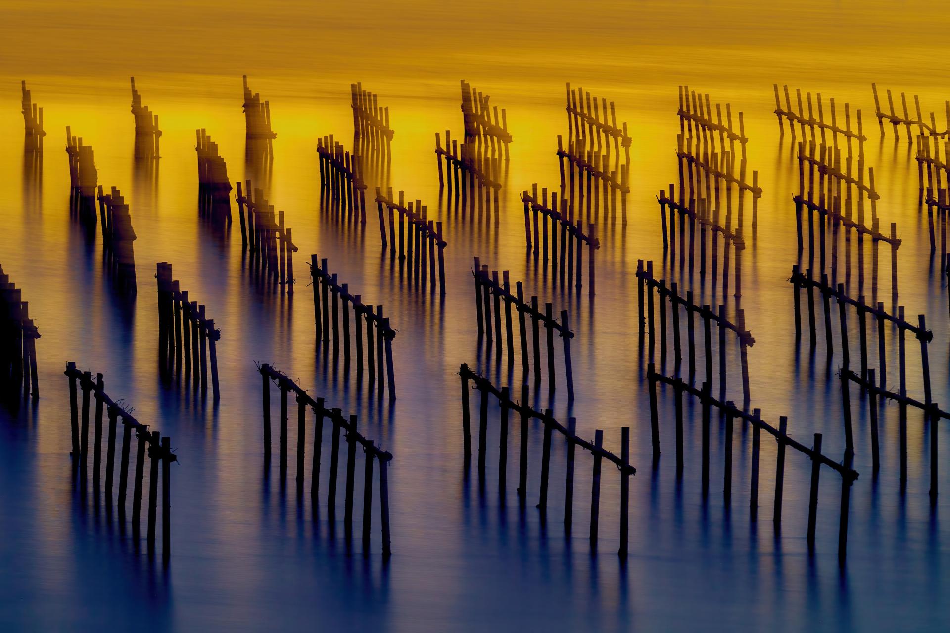 European Photography Awards Winner - Oyster Shack light and shadow water flow