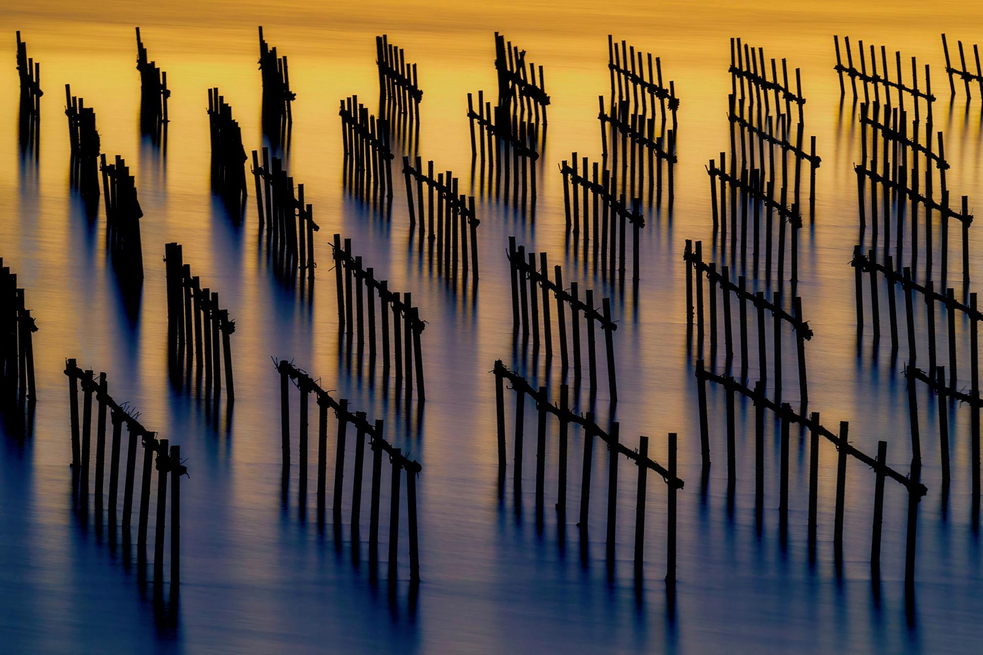 European Photography Awards Winner - Oyster Shack light and shadow water flow