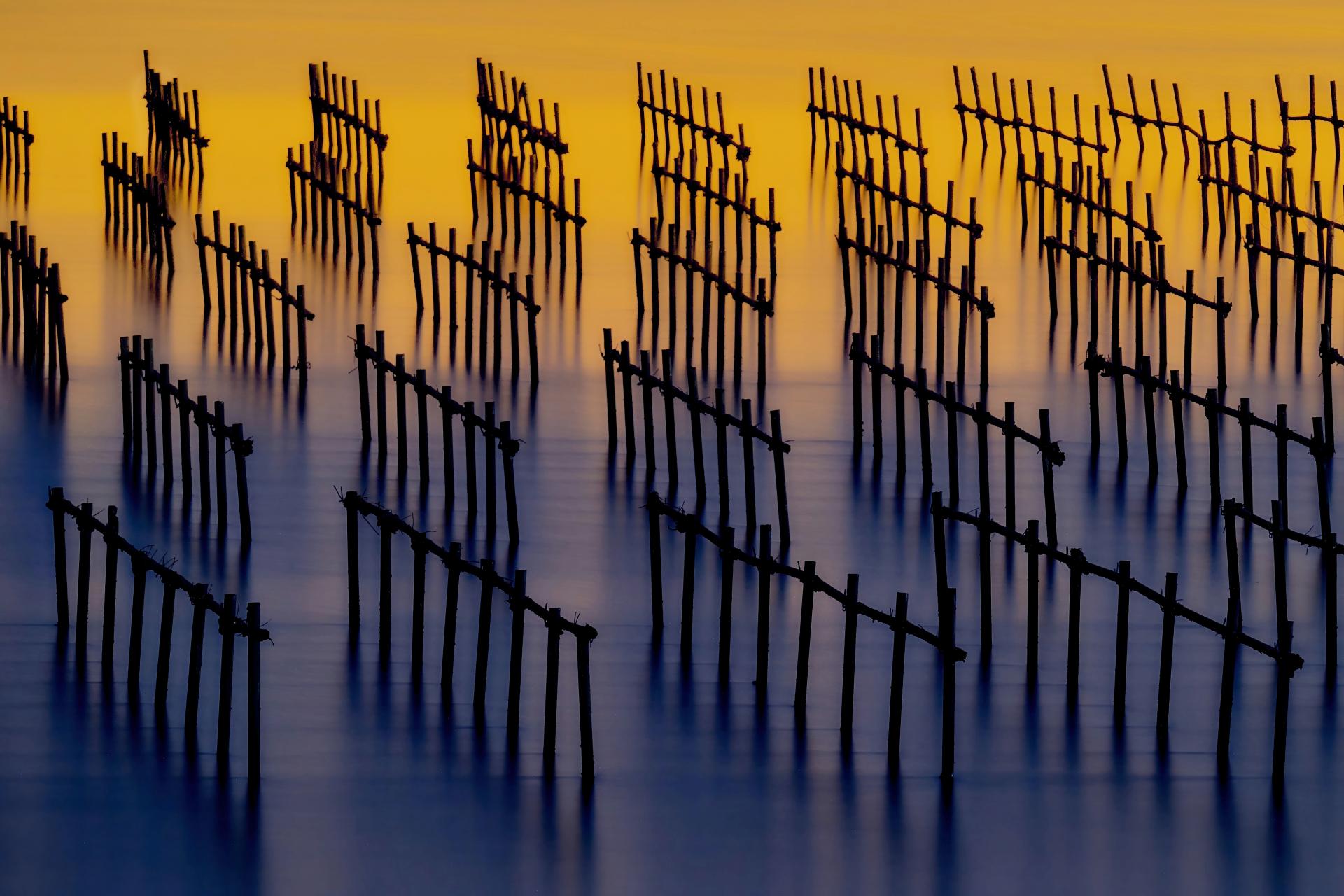 European Photography Awards Winner - Oyster Shack light and shadow water flow