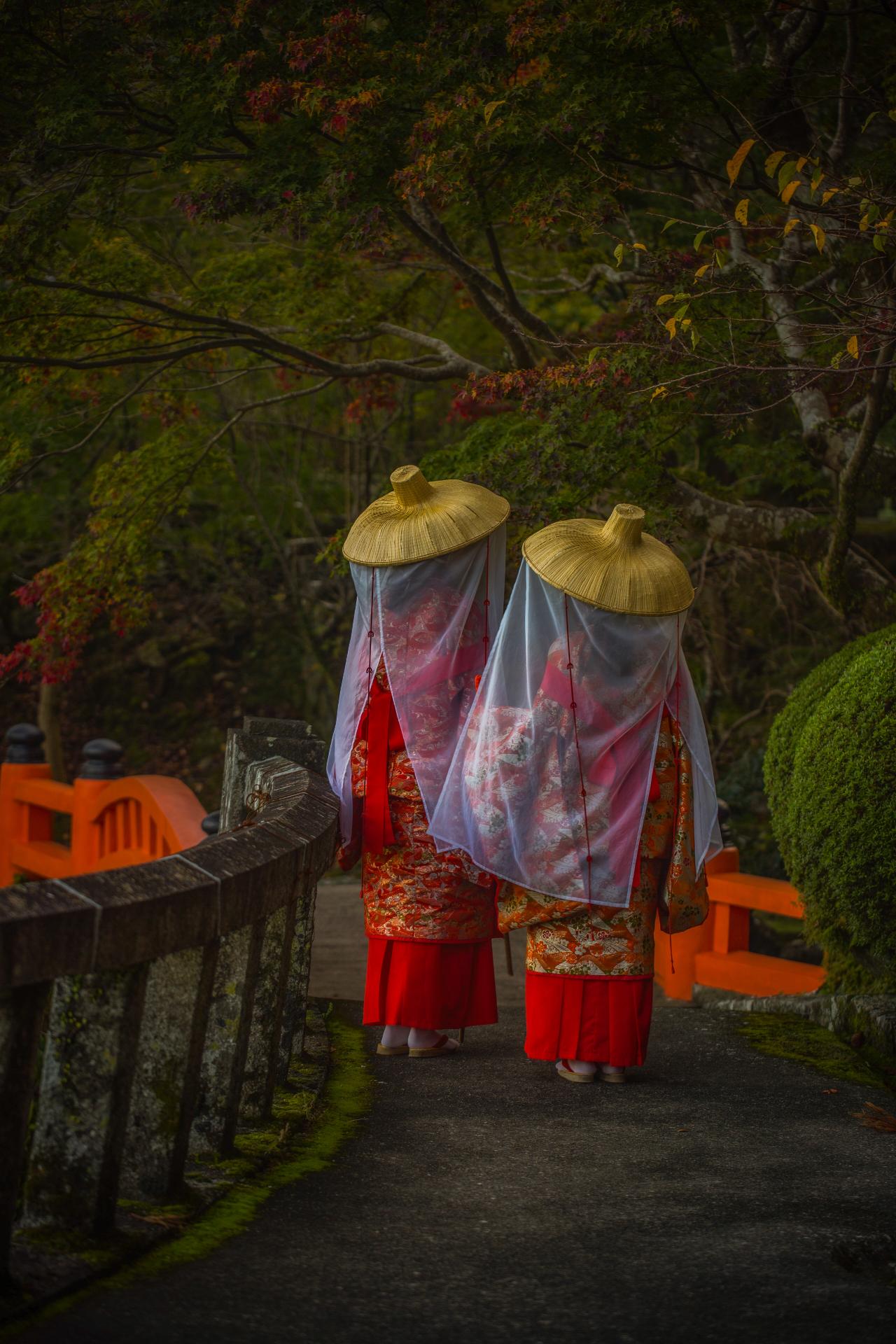 European Photography Awards Winner - Kumano Kodō