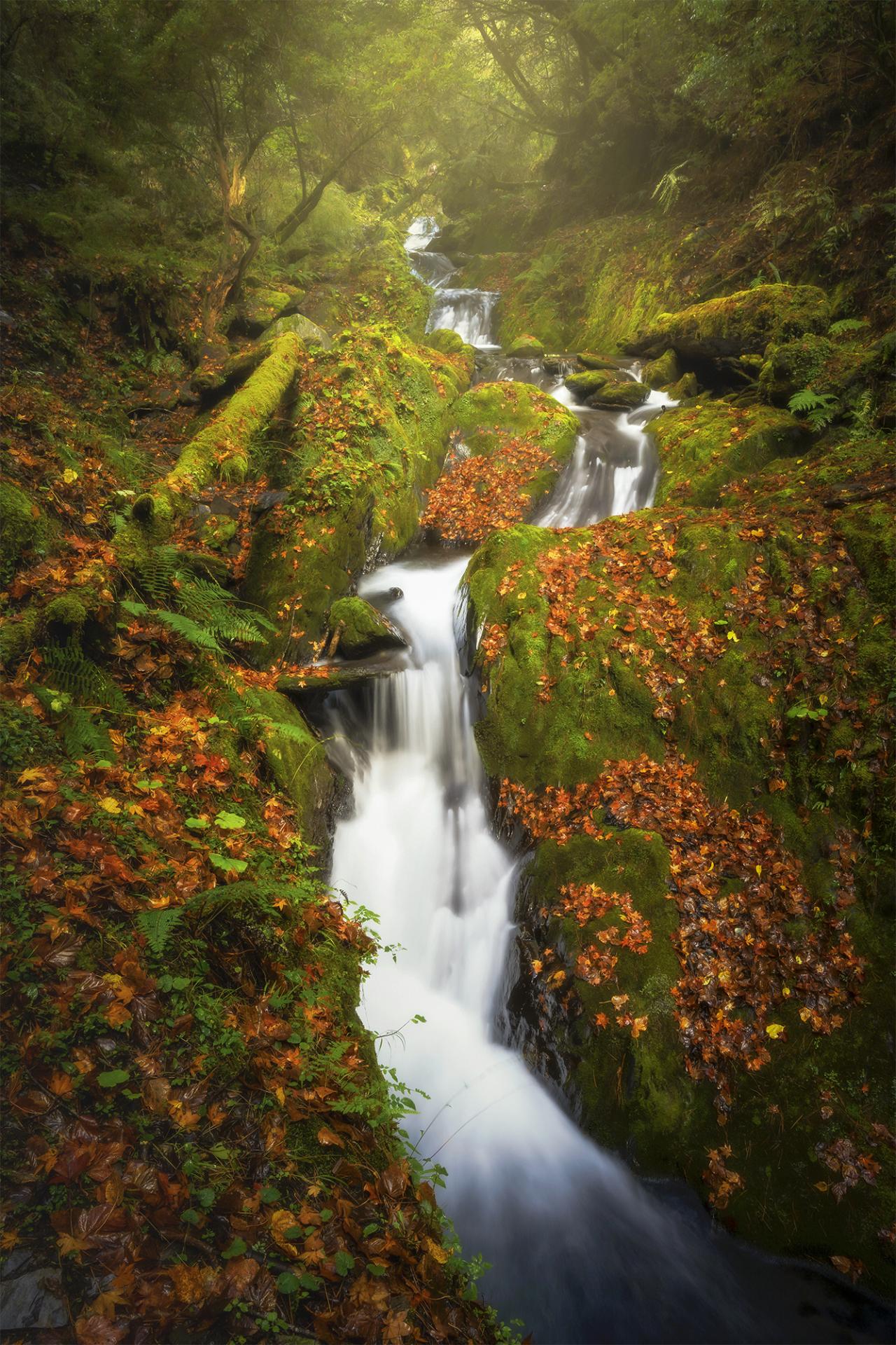 European Photography Awards Winner - Autumn