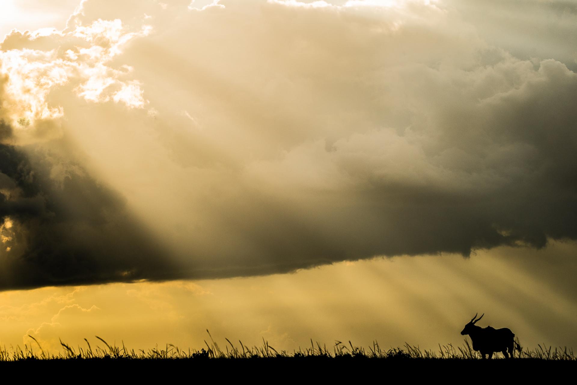 European Photography Awards Winner - Rain is coming