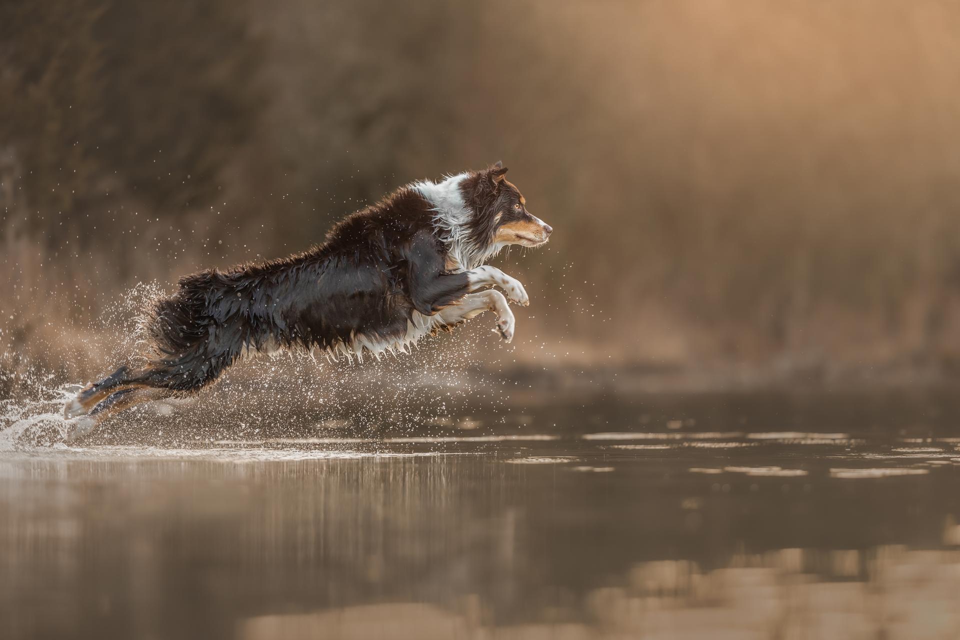 European Photography Awards Winner - Wave of Wonder