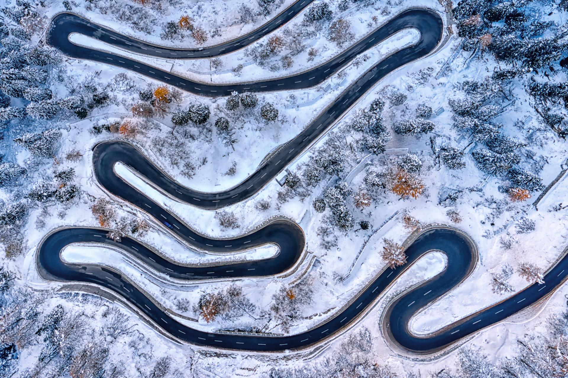 European Photography Awards Winner - tape worm