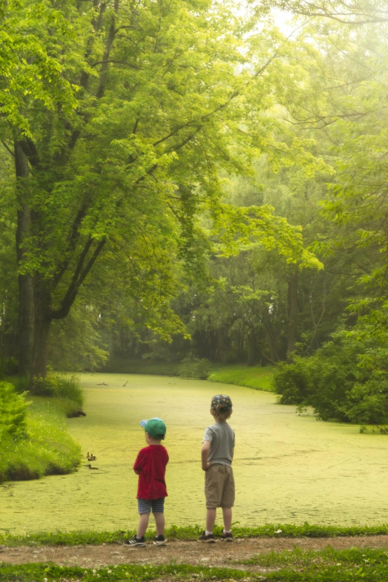 European Photography Awards Winner - Little Boys and Baby Ducks