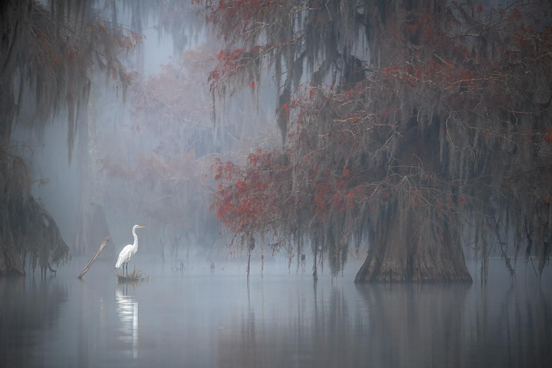 European Photography Awards Winner - Silent Morning