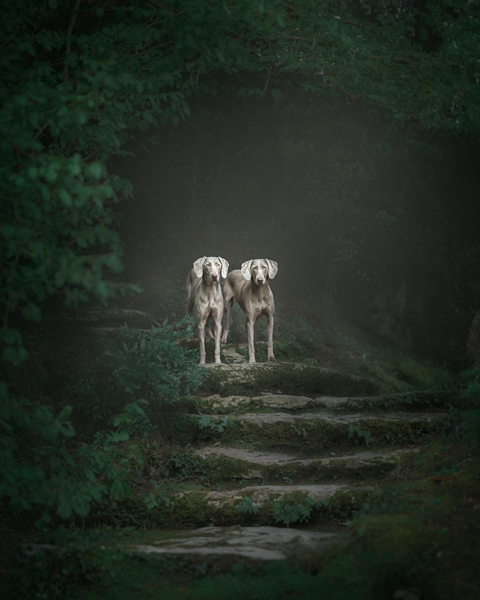 European Photography Awards Winner - Where Old Ghosts Meet