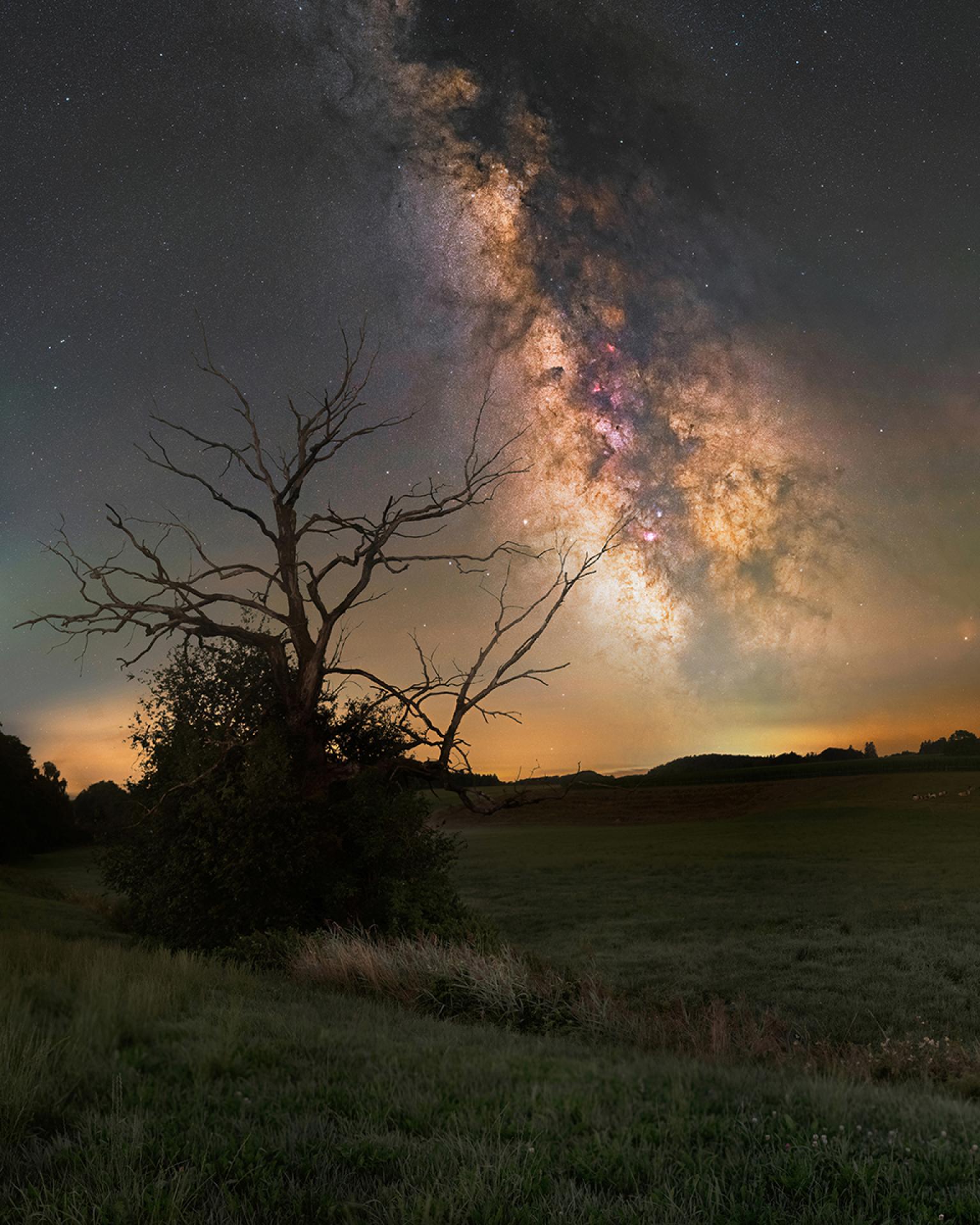 European Photography Awards Winner - The Beauty of the Night Sky