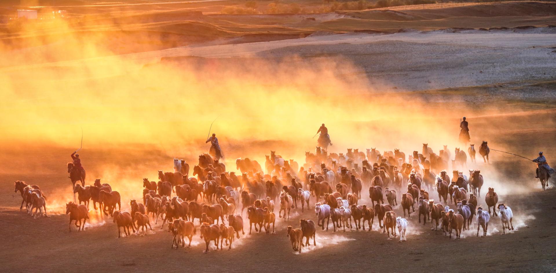 European Photography Awards Winner - Horse galloping at sunset