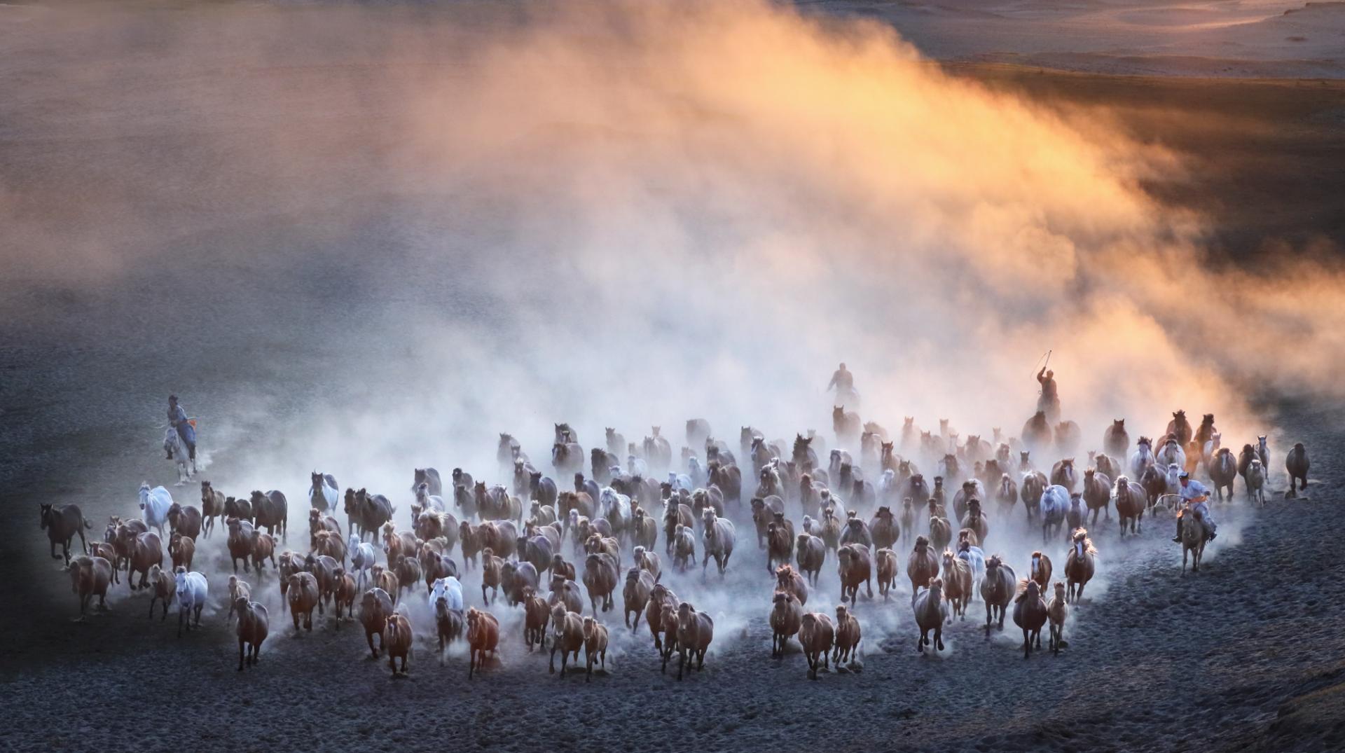 European Photography Awards Winner - Horse galloping at sunset