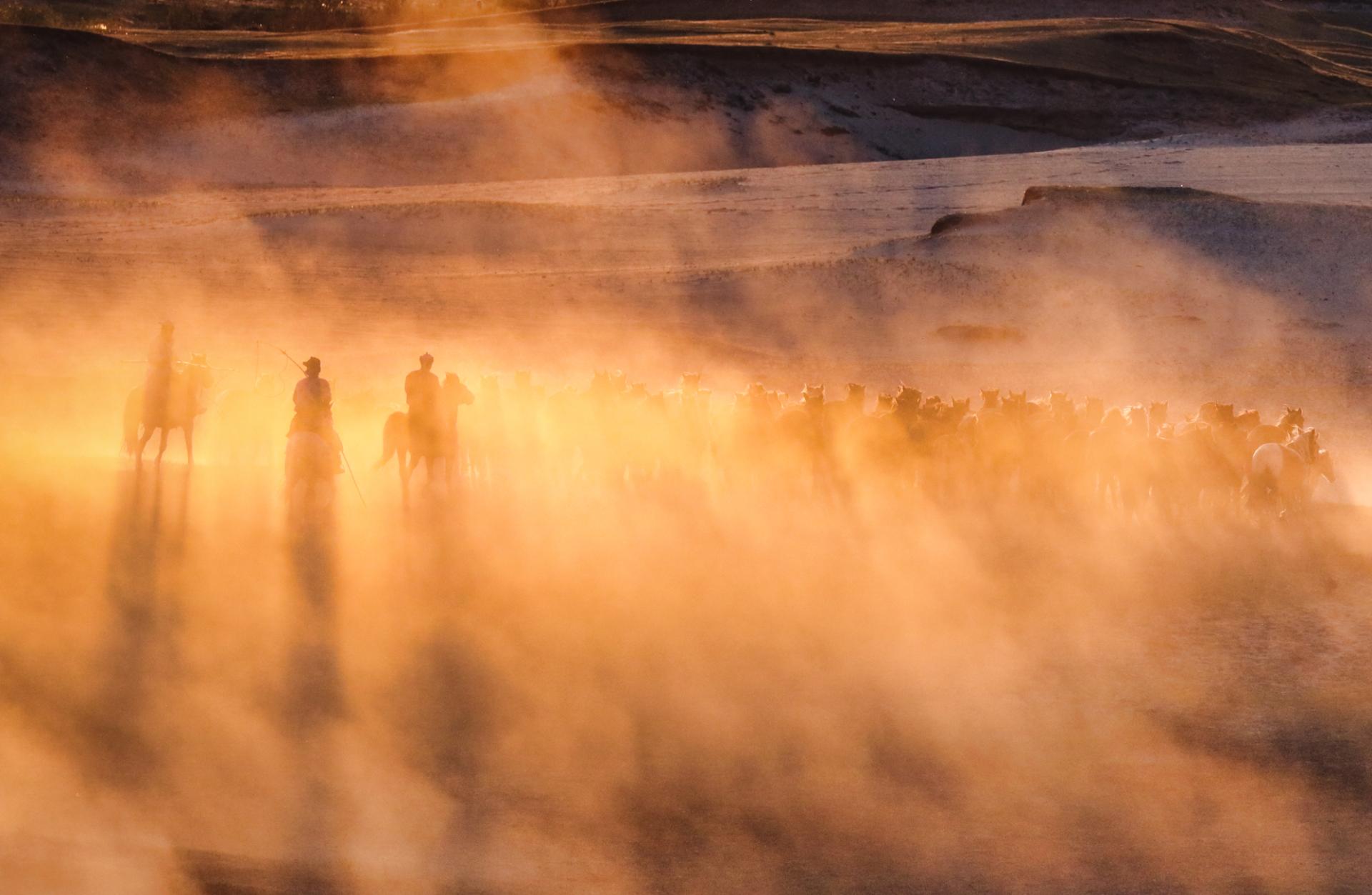 European Photography Awards Winner - Horse galloping at sunset