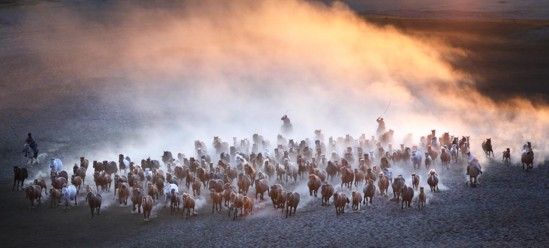 European Photography Awards Winner - Horse galloping at sunset