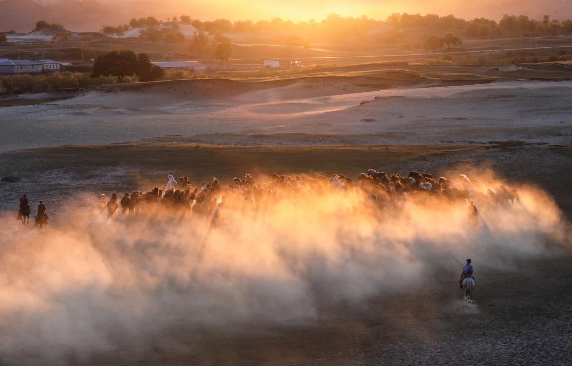 European Photography Awards Winner - Horse galloping at sunset