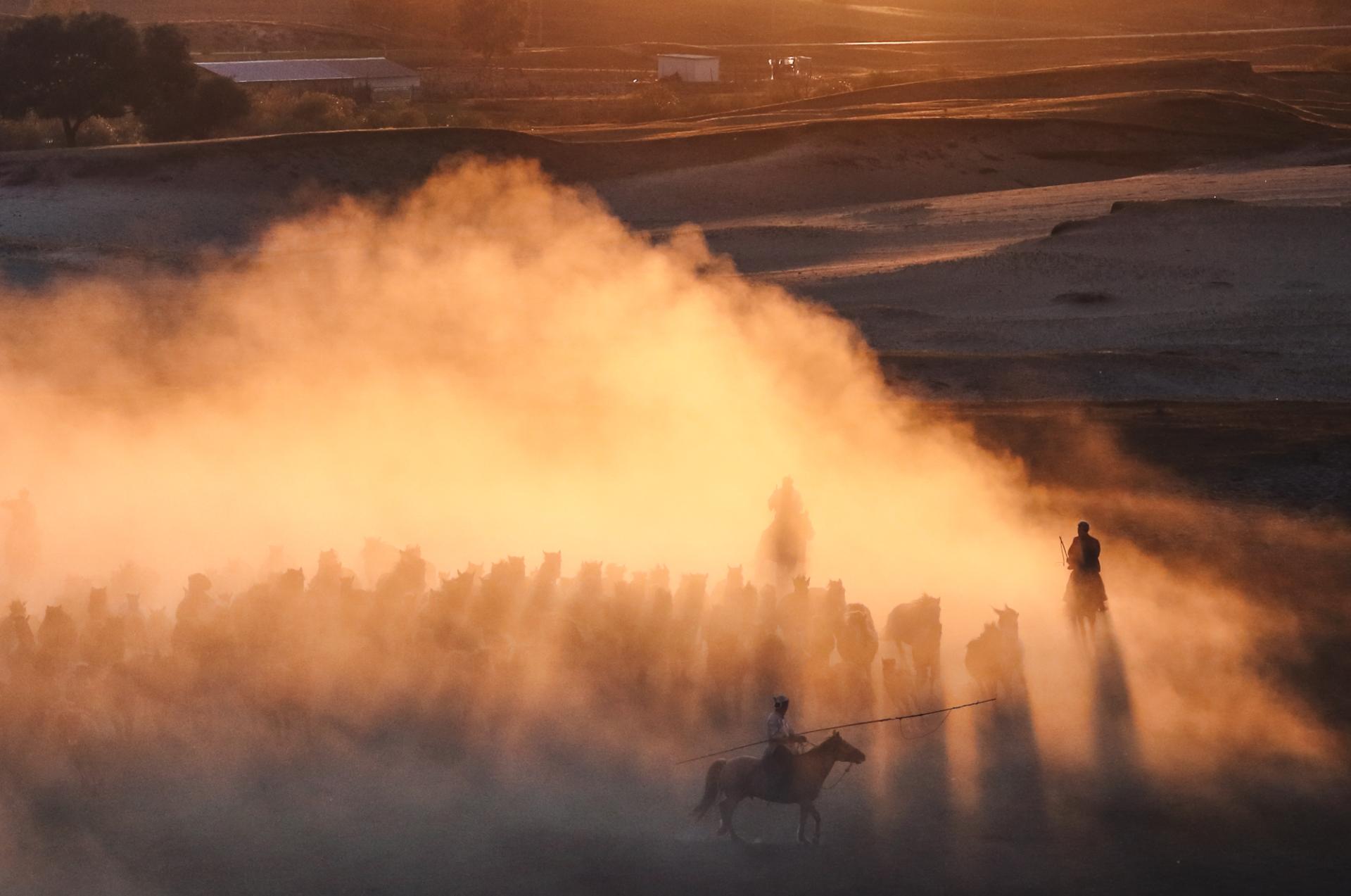 European Photography Awards Winner - Horse galloping at sunset