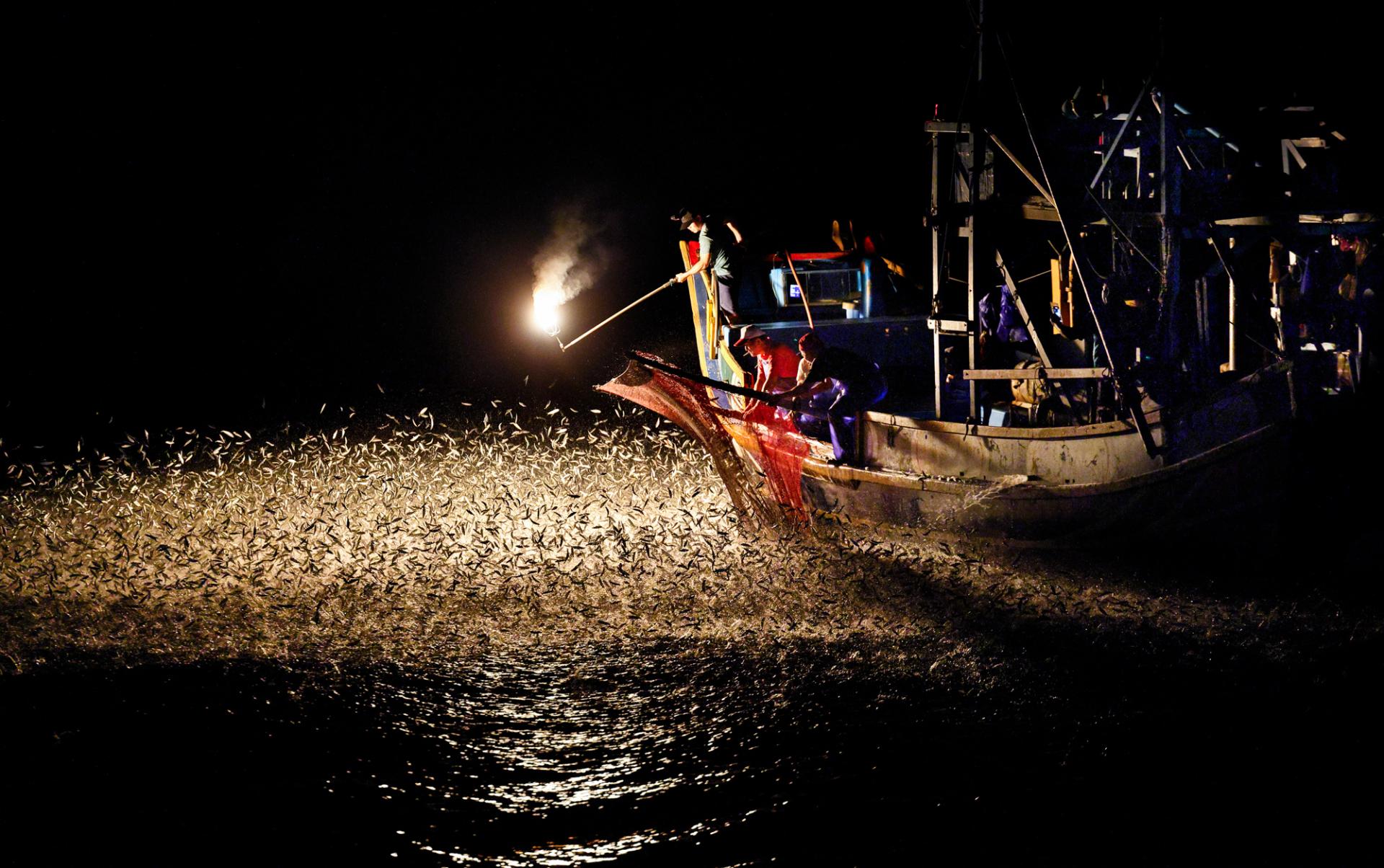 European Photography Awards Winner - Ancient fishing