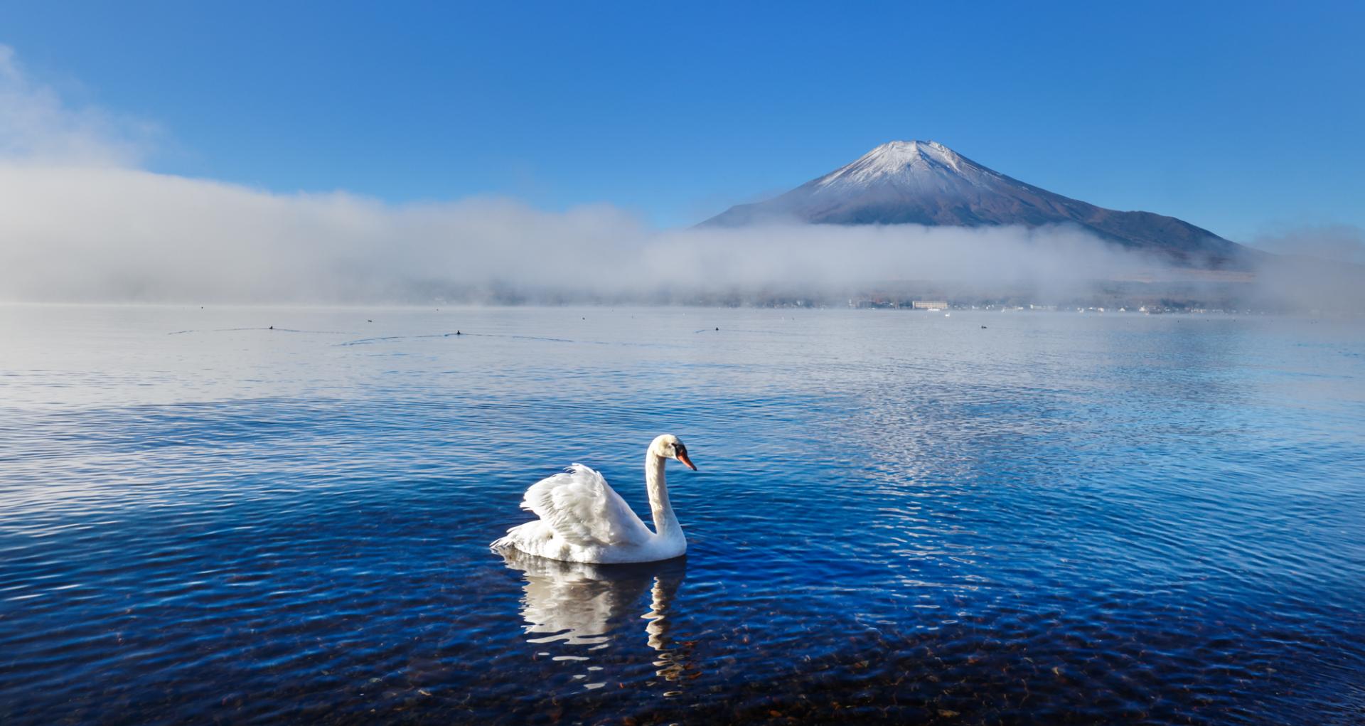 European Photography Awards Winner - Dreamy winter in japan