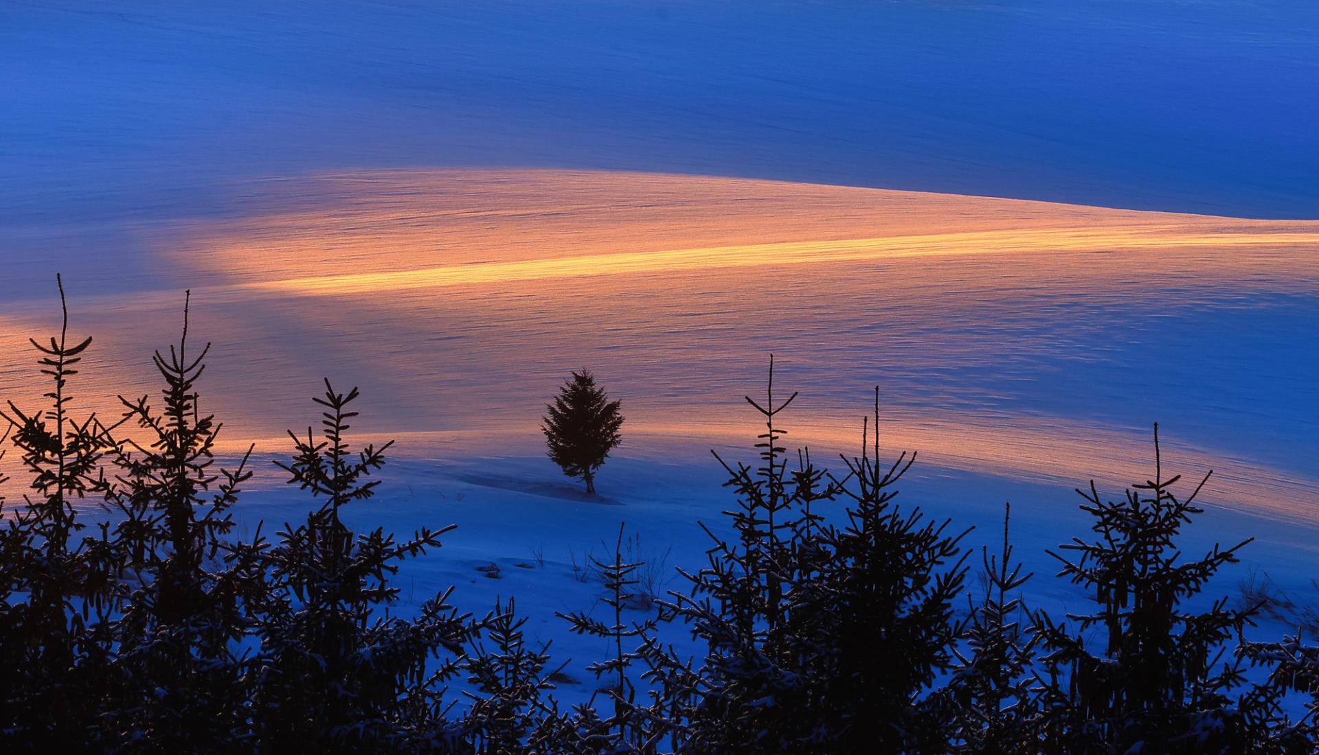 European Photography Awards Winner - Dreamy winter in japan